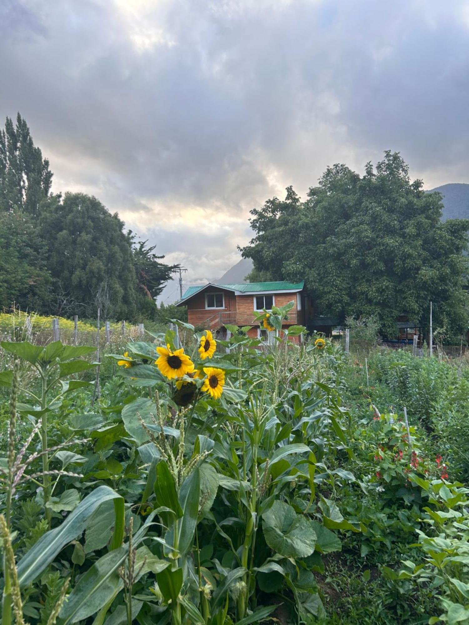 Guest house Alpes *