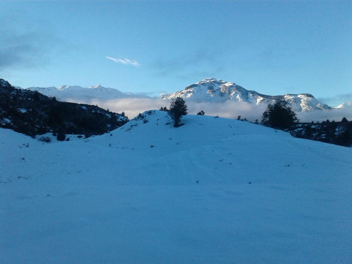Alpes Guest house *