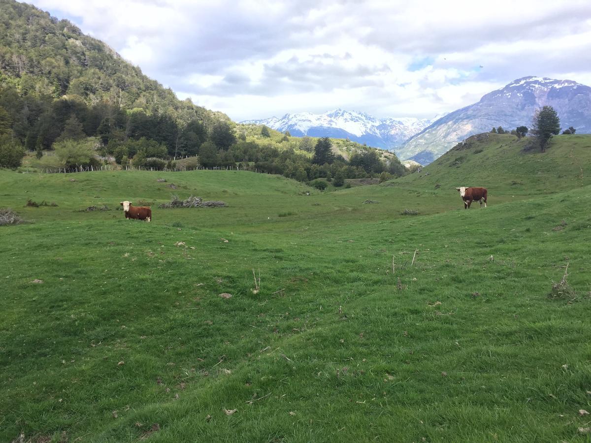 Alpes Guest house *